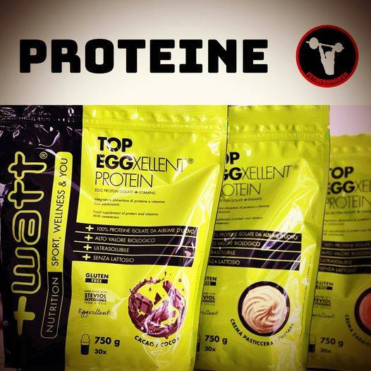 TOP EGGXELLENT PROTEIN - +WATT